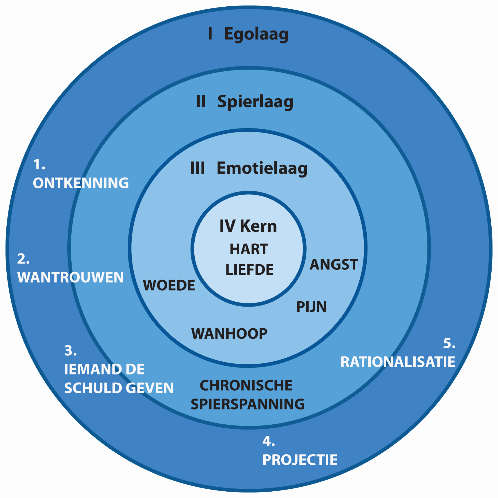 schema lagen persoonlijkheid