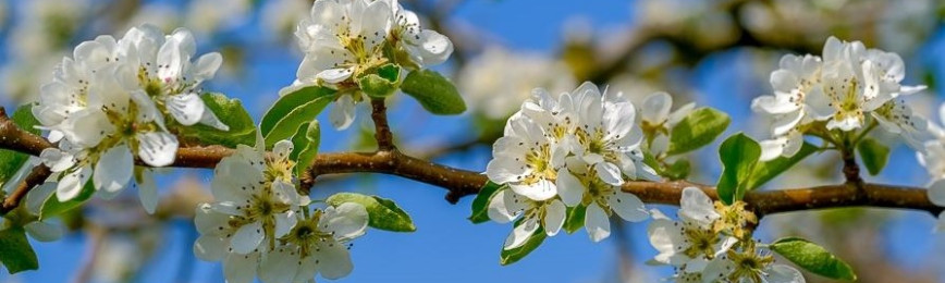 Rebalancing, burn-out coaching en trainingen op gebied van persoonlijke groei en de balans tussen inspanning en ontspanning. Praktijk in Amsterdam.